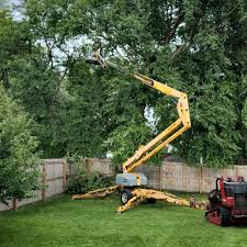 Best Lawn Maintenance Plans  in Monterey Park, CA